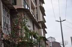 案例6